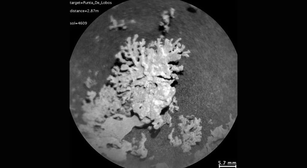 La NASA découvre un corail vieux de plusieurs milliards d’années sur Mars